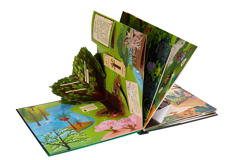 Pop-up Book