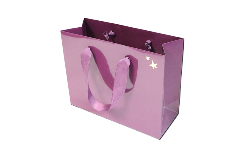 Luxury Gift Bag